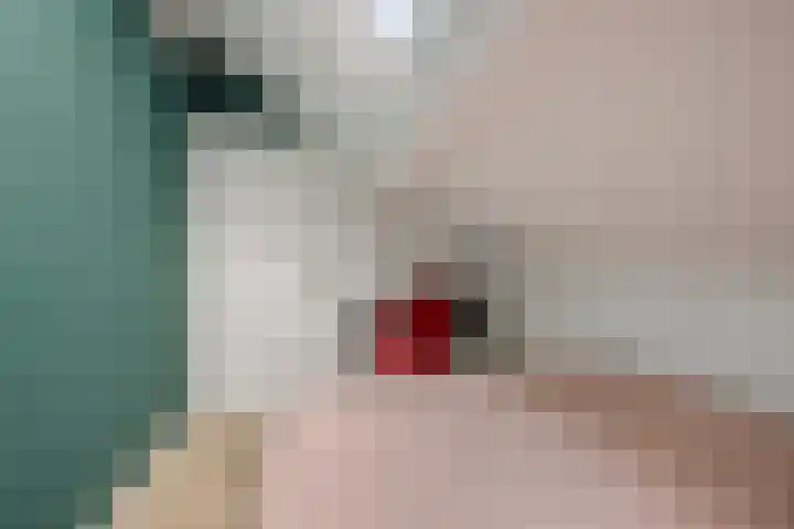 Rode Klaver 6 Sneek thumbnail 24