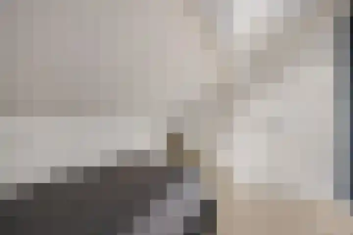Rode Klaver 6 Sneek thumbnail 25