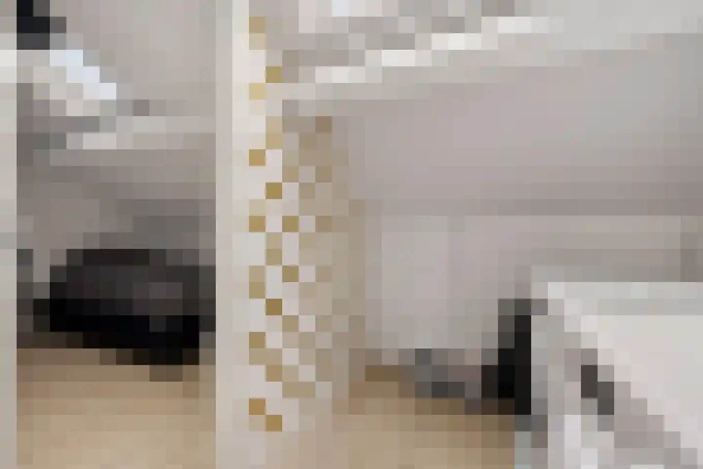 Rode Klaver 6 Sneek thumbnail 26