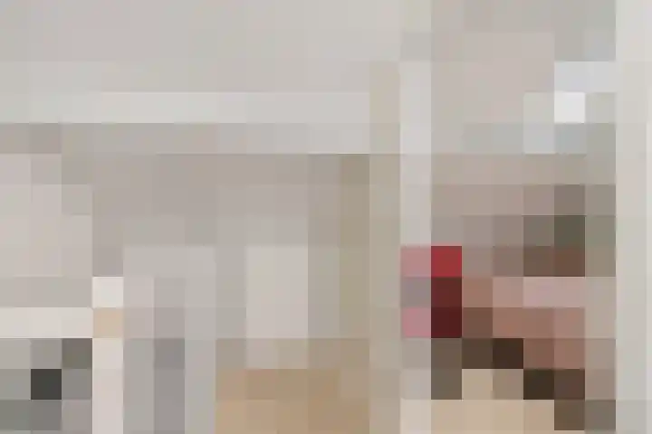 Rode Klaver 6 Sneek thumbnail 27