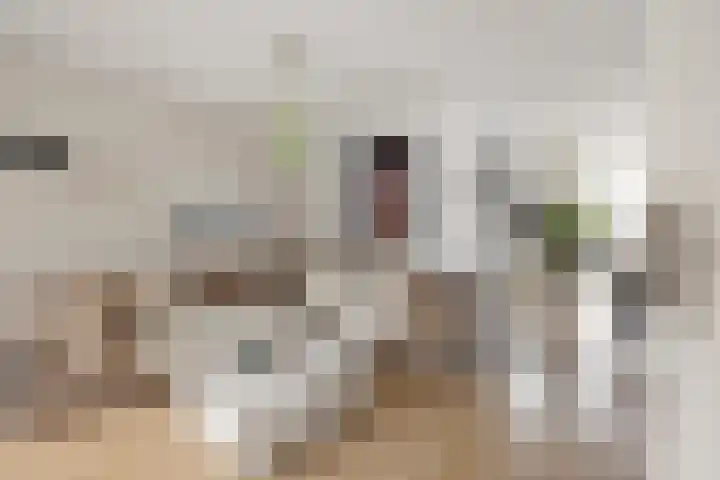 Rode Klaver 6 Sneek foto 3