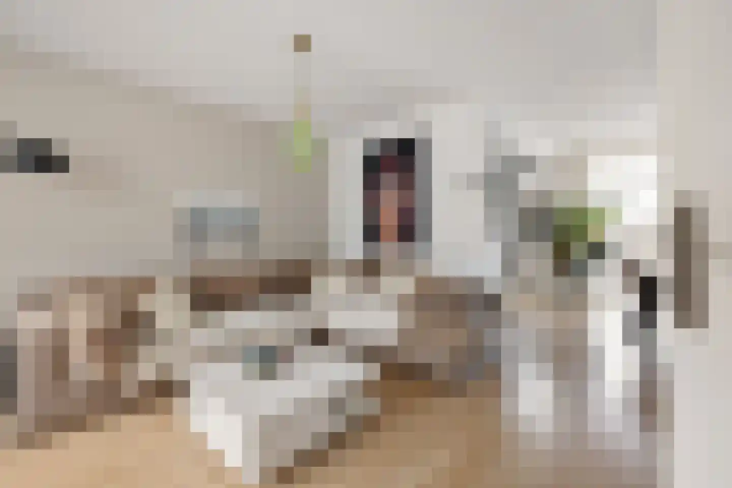 Rode Klaver 6 Sneek foto 3