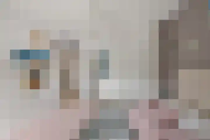Rode Klaver 6 Sneek thumbnail 30