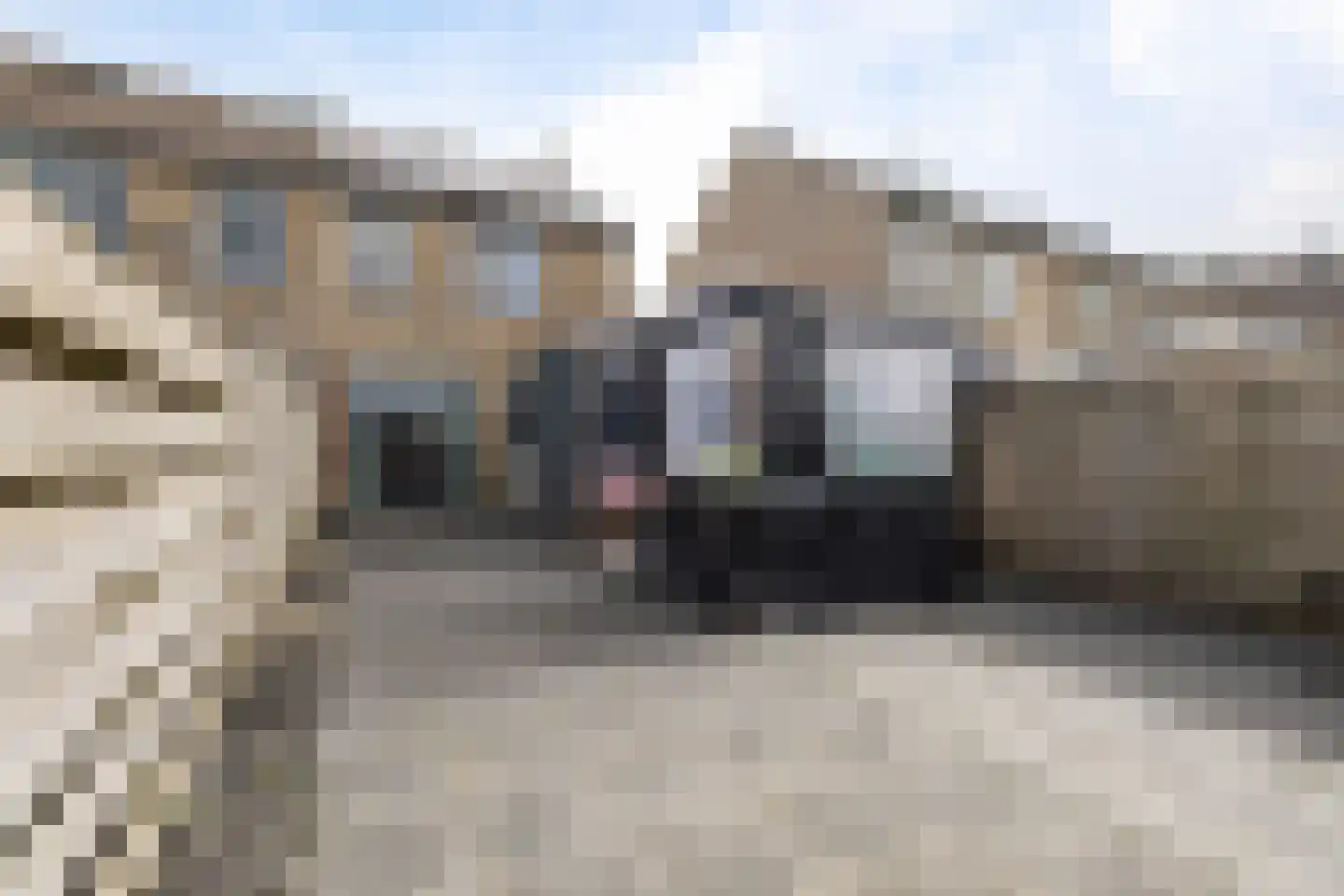 Rode Klaver 6 Sneek thumbnail 31