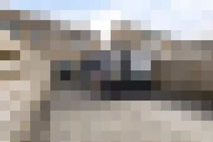 Rode Klaver 6 Sneek thumbnail 31