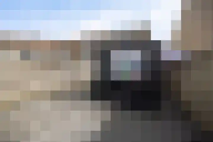 Rode Klaver 6 Sneek thumbnail 32