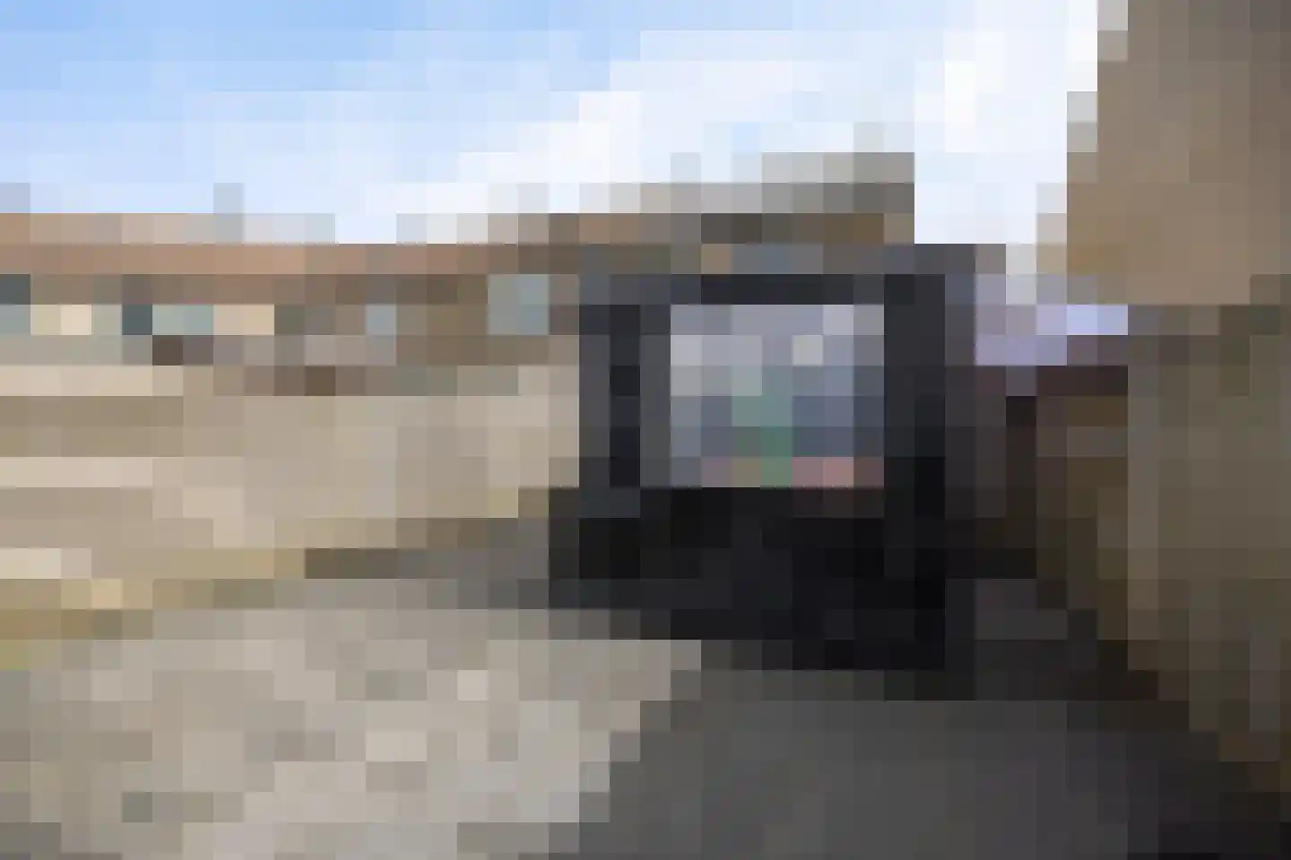 Rode Klaver 6 Sneek thumbnail 32