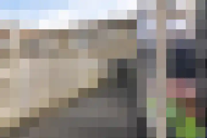 Rode Klaver 6 Sneek thumbnail 33