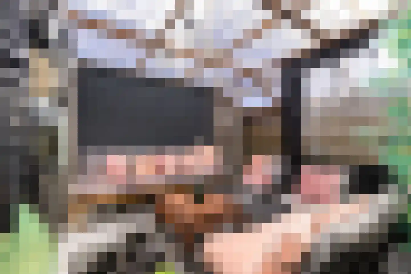 Rode Klaver 6 Sneek thumbnail 34
