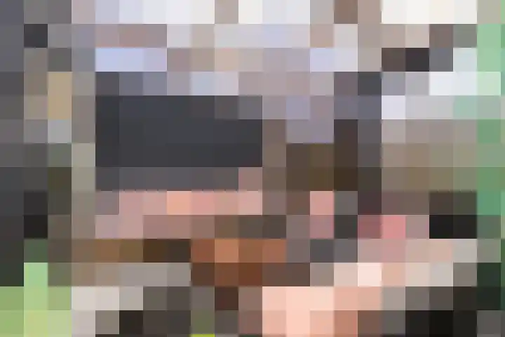 Rode Klaver 6 Sneek thumbnail 34