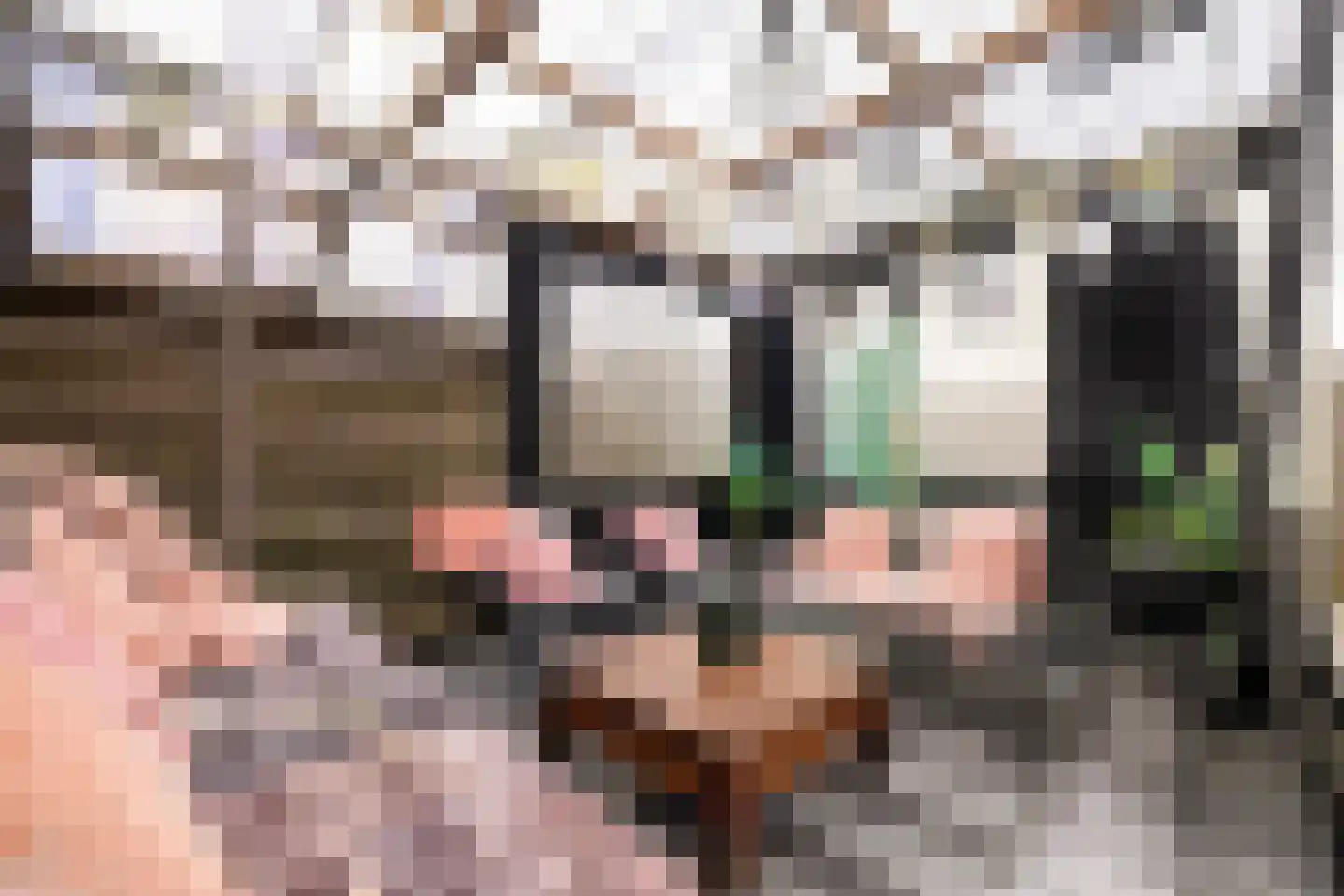 Rode Klaver 6 Sneek thumbnail 35