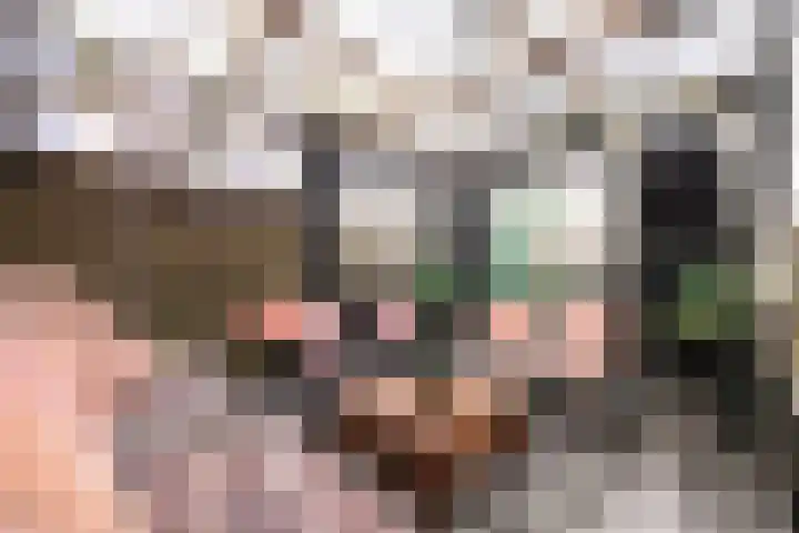 Rode Klaver 6 Sneek thumbnail 35