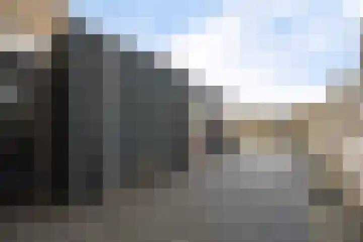 Rode Klaver 6 Sneek thumbnail 36