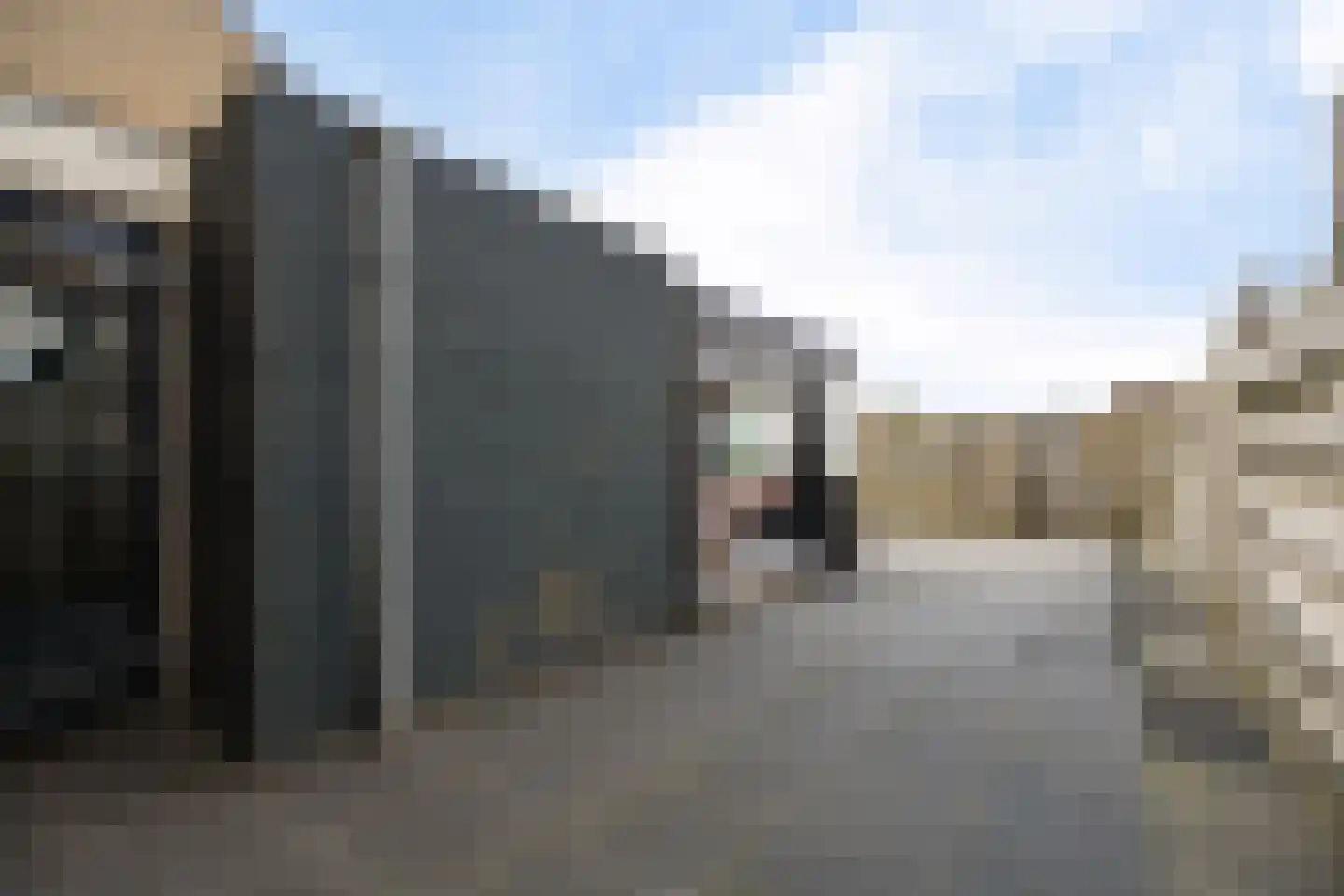 Rode Klaver 6 Sneek thumbnail 36