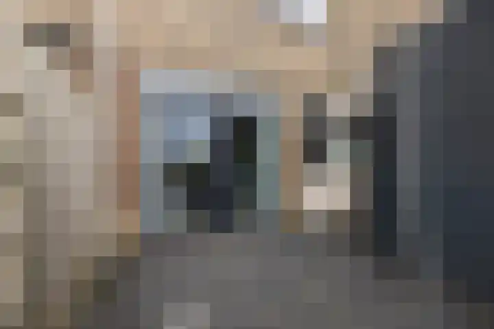 Rode Klaver 6 Sneek thumbnail 37