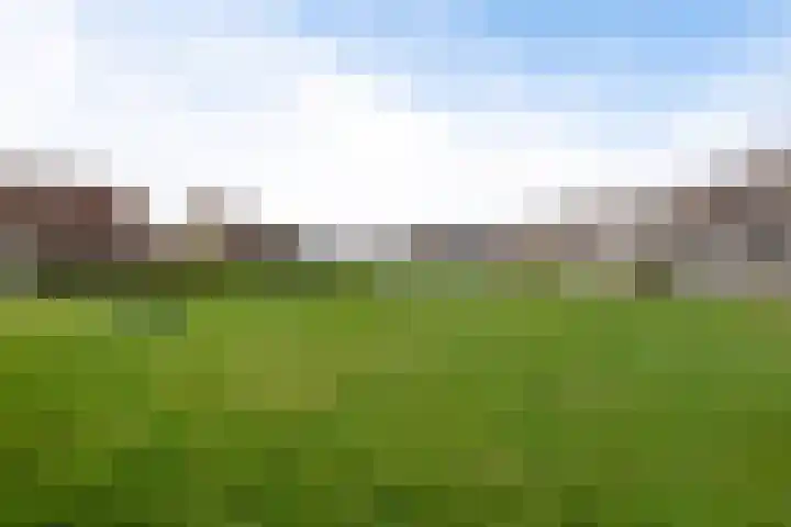 Rode Klaver 6 Sneek thumbnail 38