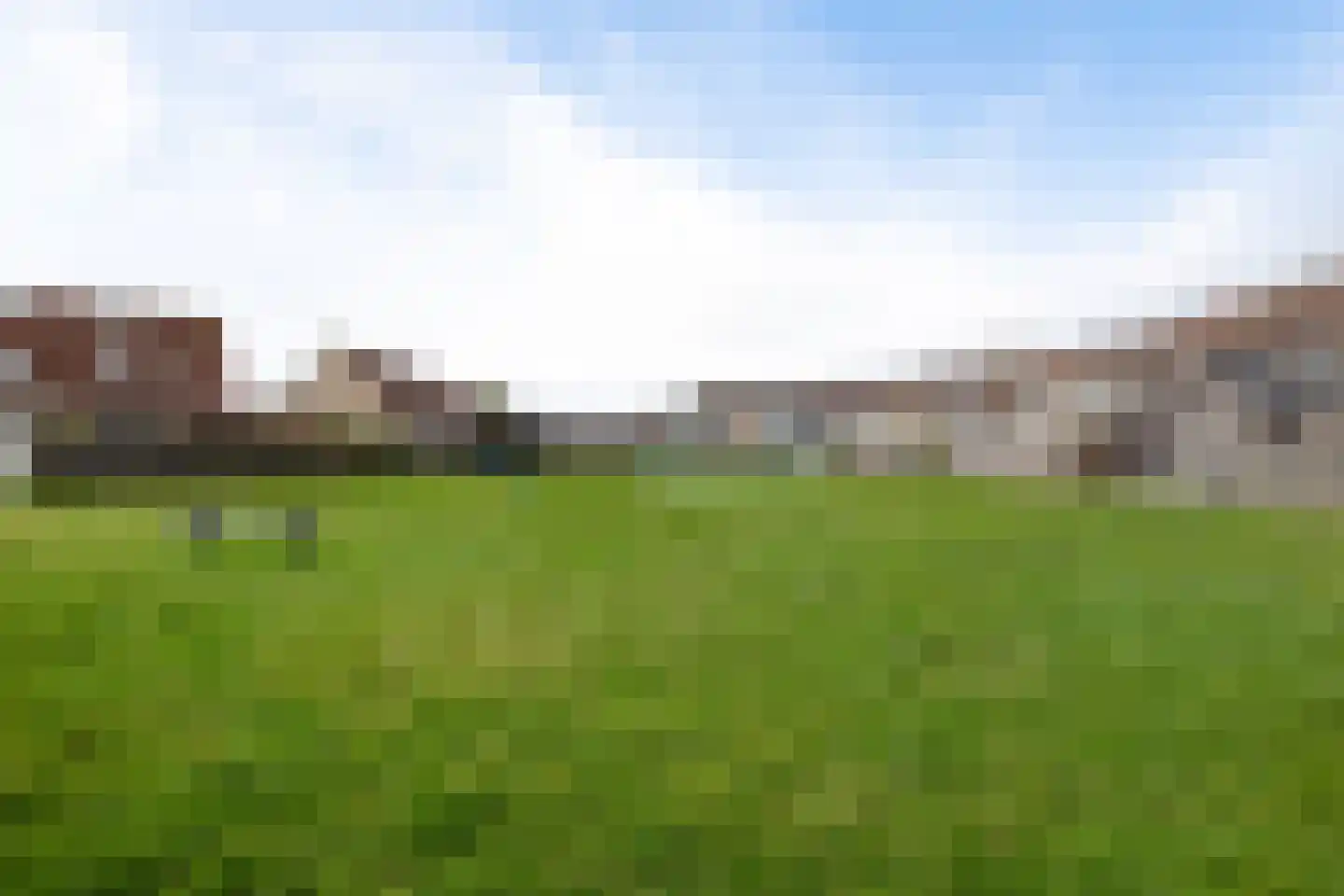 Rode Klaver 6 Sneek thumbnail 38