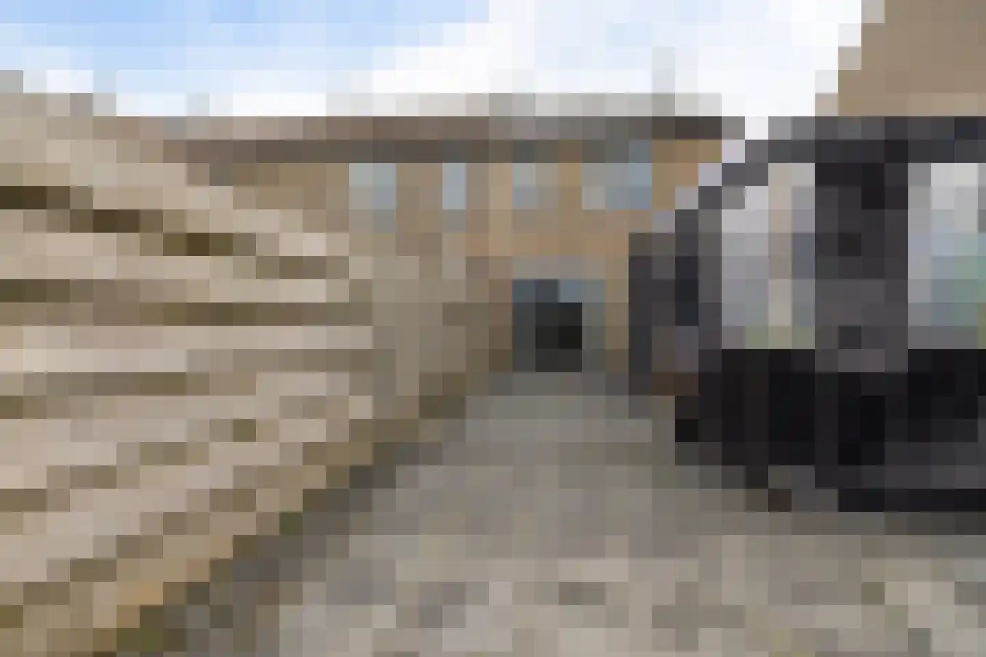 Rode Klaver 6 Sneek thumbnail 39