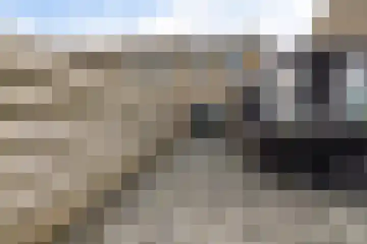 Rode Klaver 6 Sneek thumbnail 39