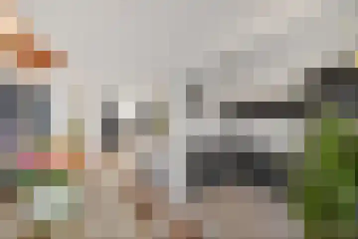 Rode Klaver 6 Sneek thumbnail 4
