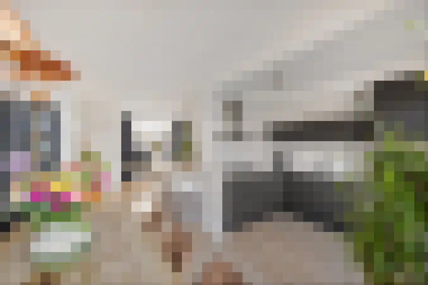 Rode Klaver 6 Sneek thumbnail 4