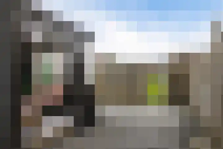 Rode Klaver 6 Sneek thumbnail 40