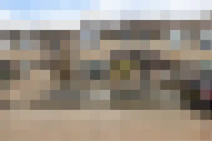Rode Klaver 6 Sneek thumbnail 41