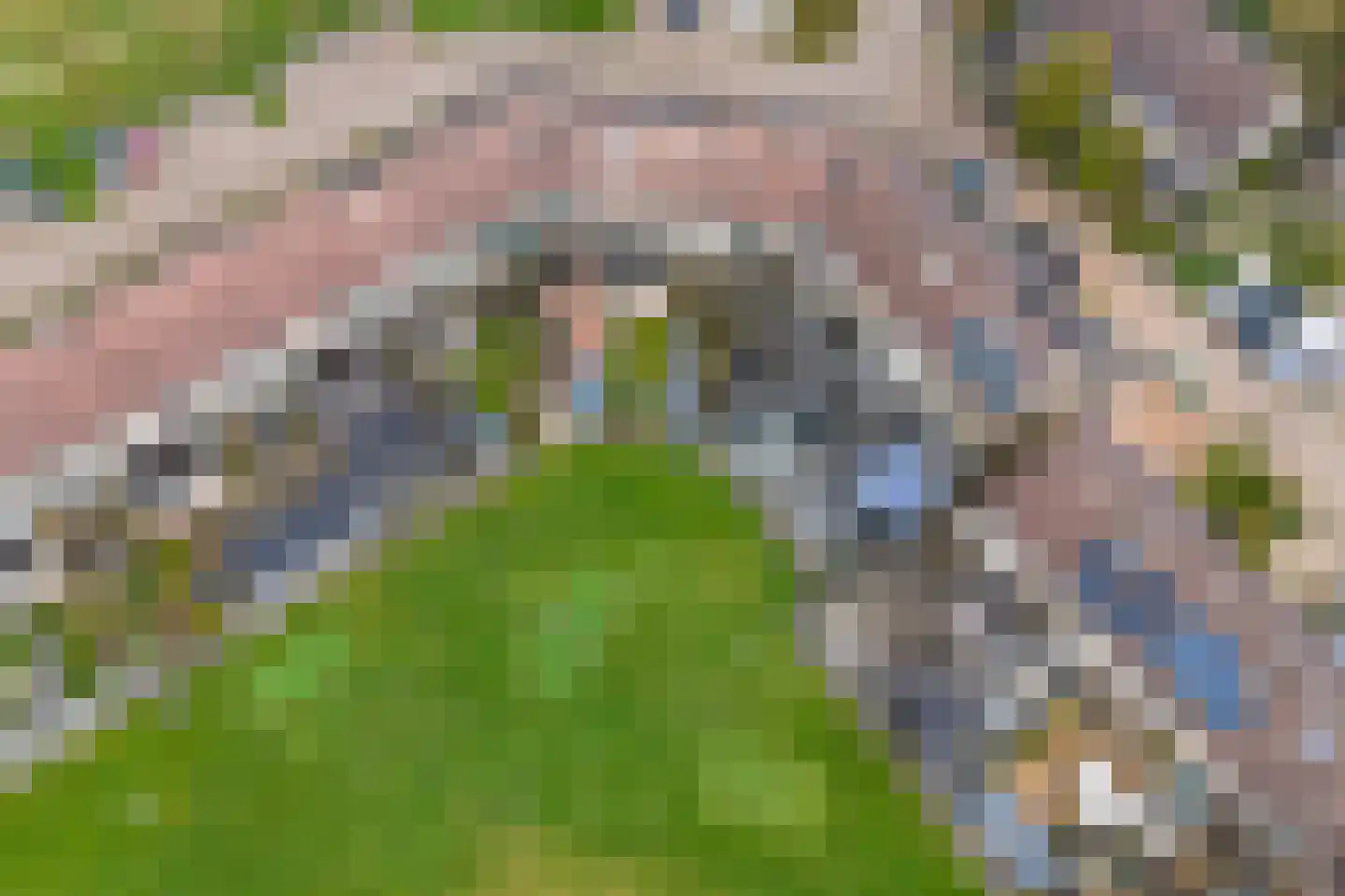 Rode Klaver 6 Sneek thumbnail 43