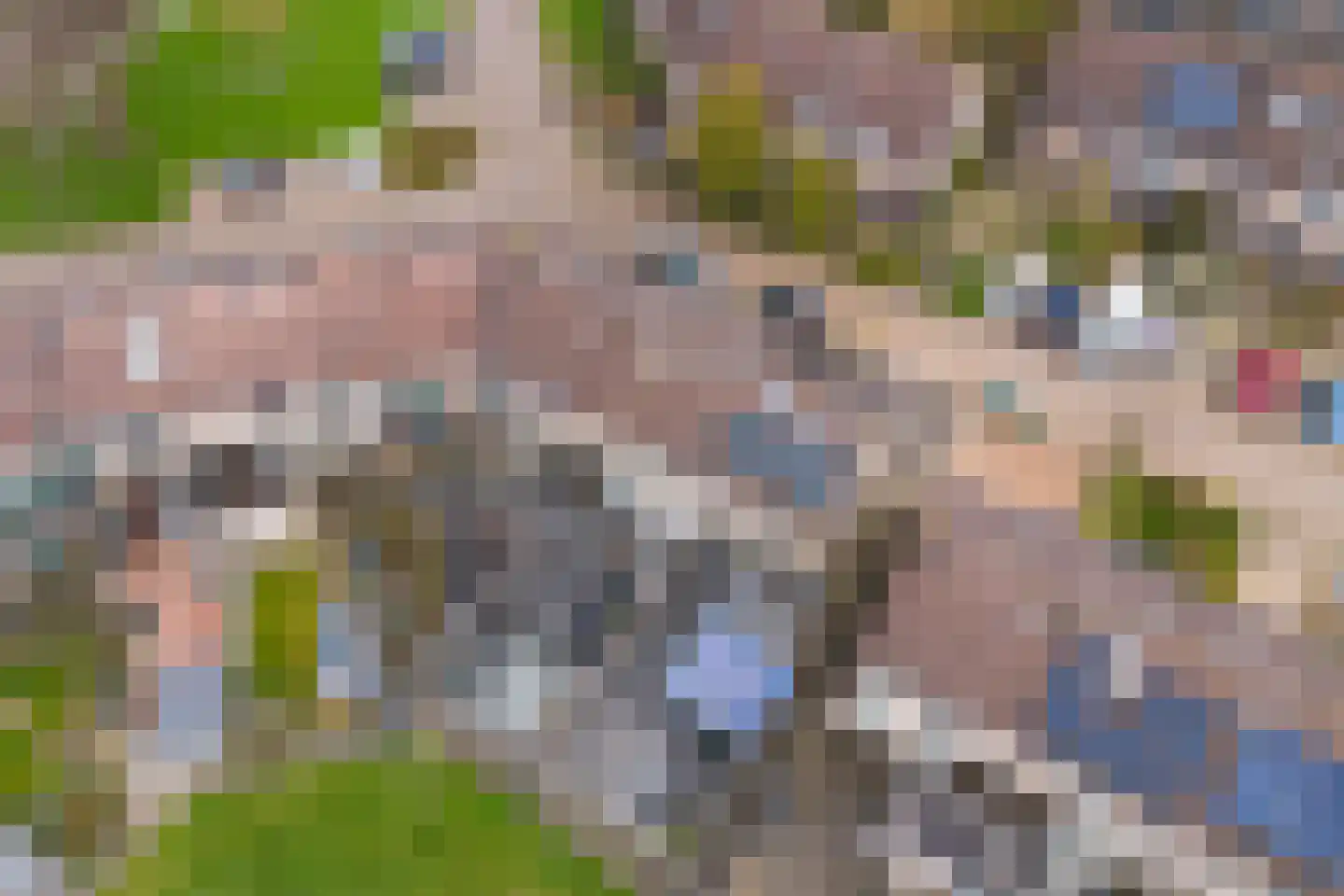 Rode Klaver 6 Sneek thumbnail 44