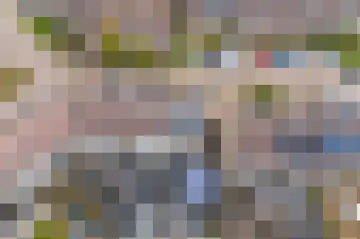 Rode Klaver 6 Sneek thumbnail 45