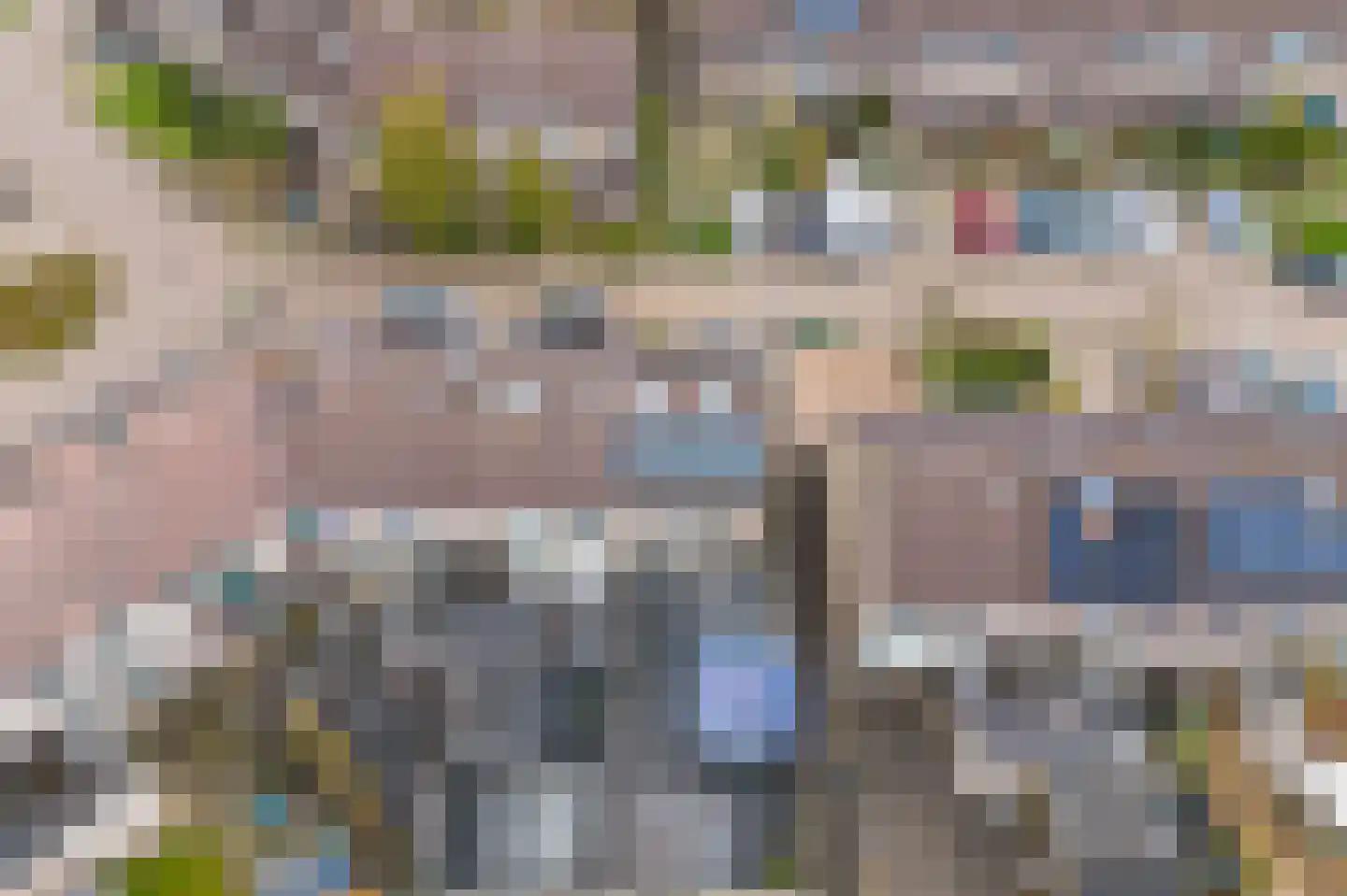 Rode Klaver 6 Sneek thumbnail 45