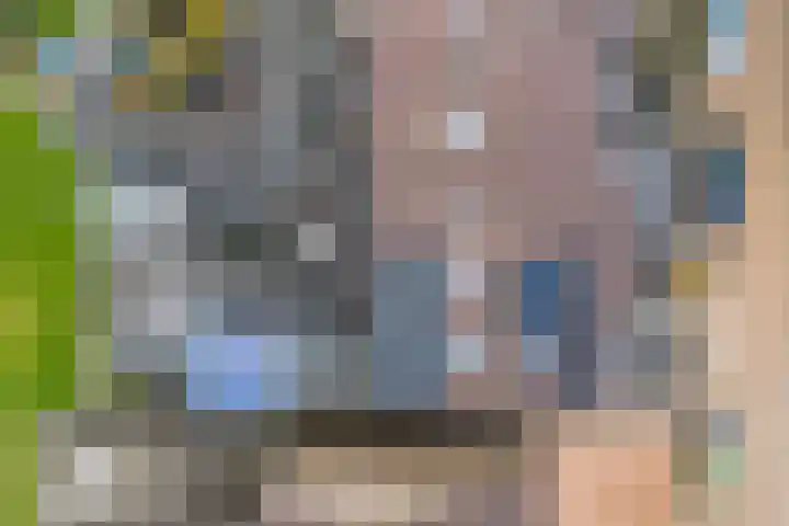 Rode Klaver 6 Sneek thumbnail 46