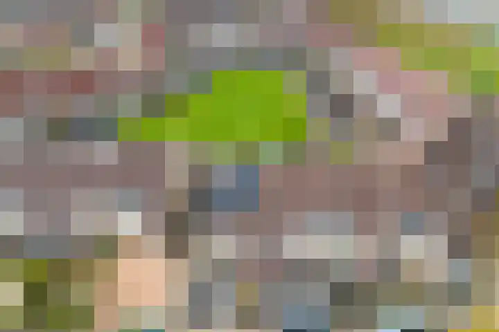 Rode Klaver 6 Sneek thumbnail 47