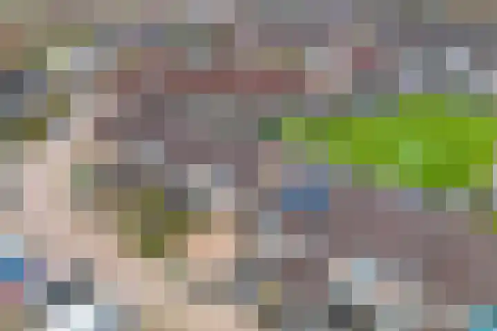 Rode Klaver 6 Sneek thumbnail 48