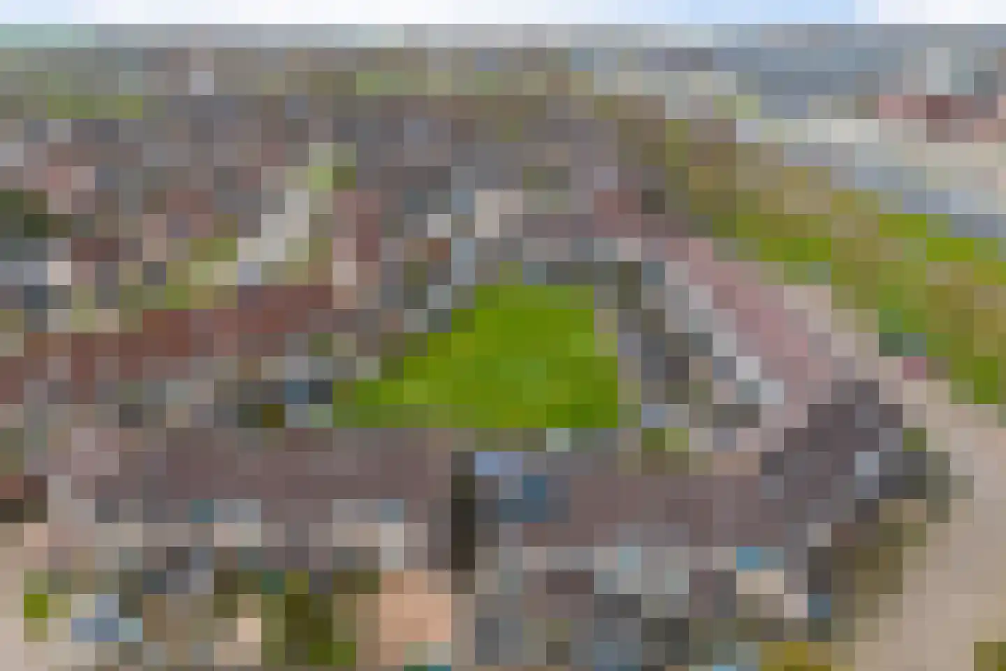 Rode Klaver 6 Sneek thumbnail 49