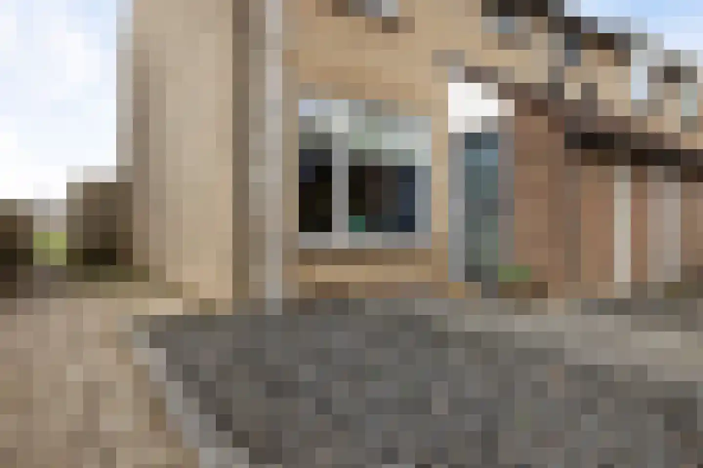Rode Klaver 6 Sneek thumbnail 6