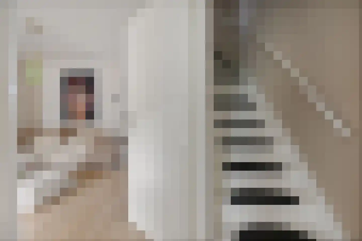 Rode Klaver 6 Sneek thumbnail 9