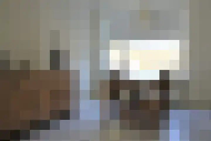 Rode Klaver 75 Sneek thumbnail 11