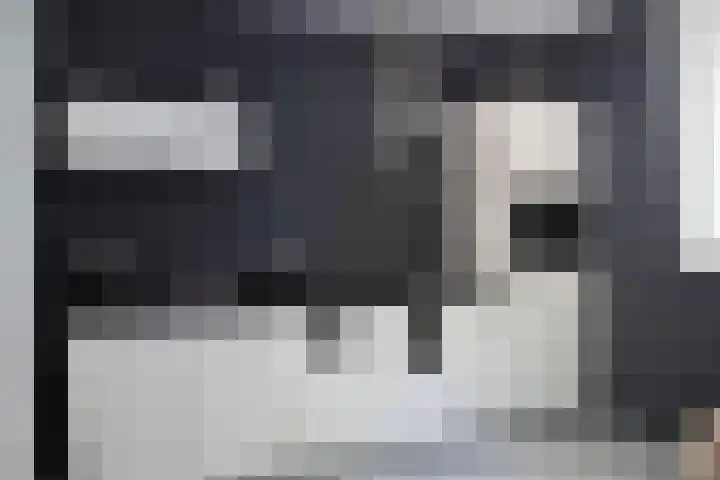 Rode Klaver 75 Sneek thumbnail 13