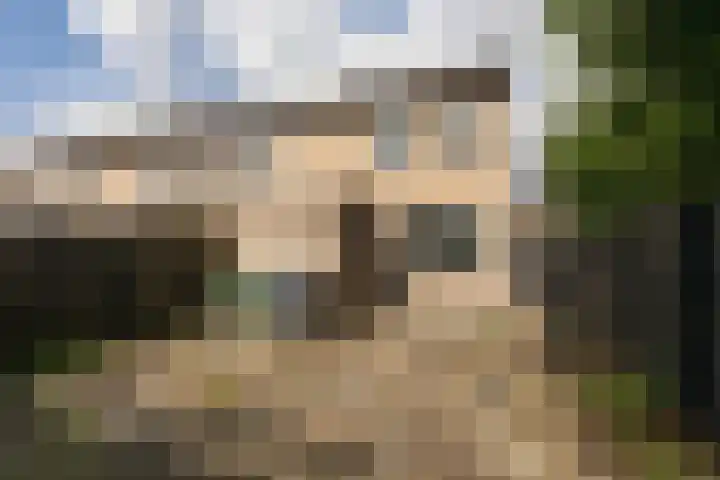 Rode Klaver 75 Sneek foto 2