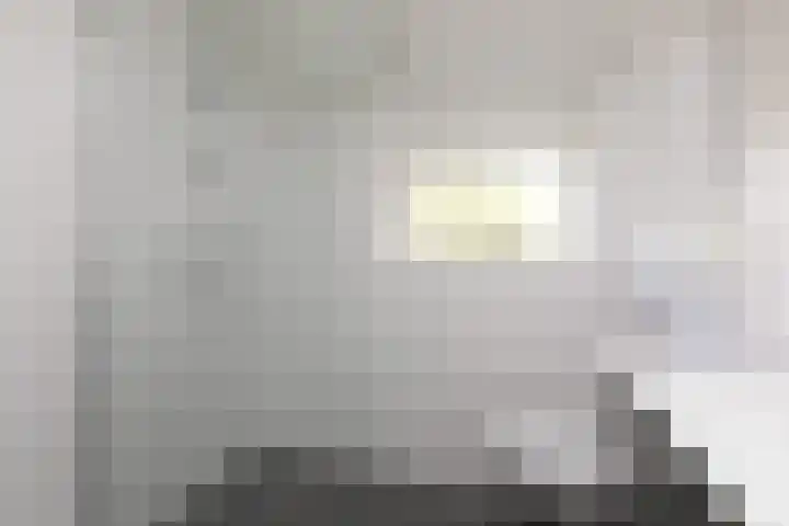 Rode Klaver 75 Sneek thumbnail 27