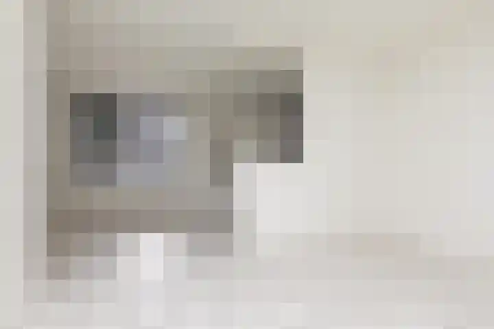 Rode Klaver 75 Sneek foto 3