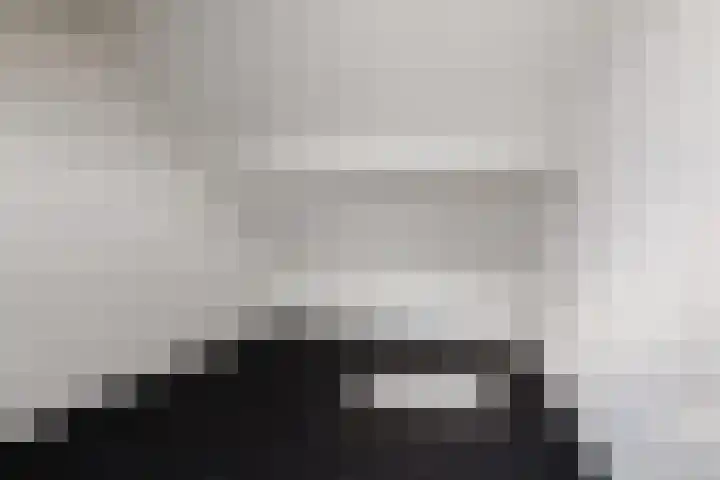 Rode Klaver 75 Sneek thumbnail 32