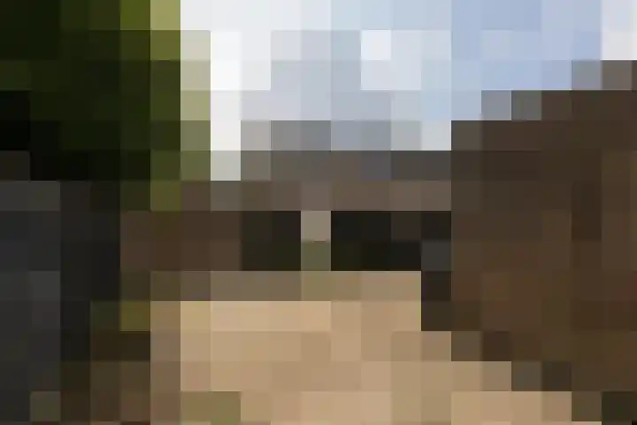Rode Klaver 75 Sneek thumbnail 33
