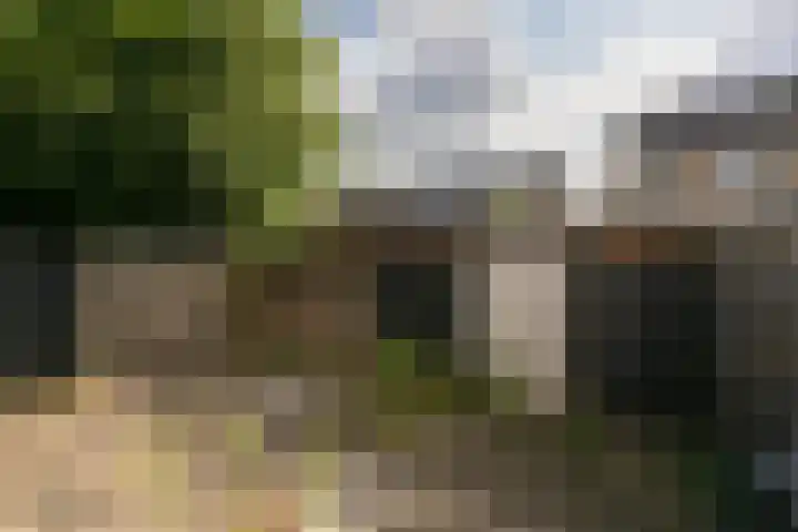 Rode Klaver 75 Sneek thumbnail 34