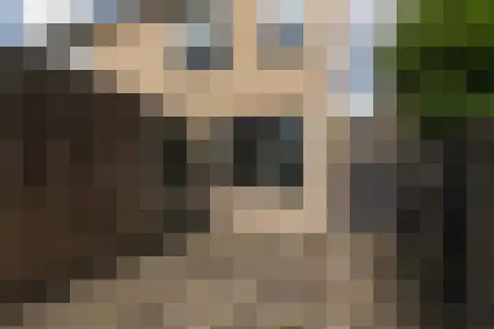 Rode Klaver 75 Sneek thumbnail 36
