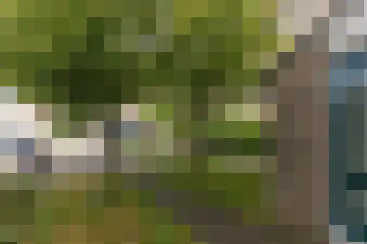 Rode Klaver 75 Sneek thumbnail 37