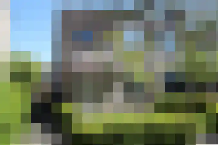 Rode Klaver 75 Sneek thumbnail 39