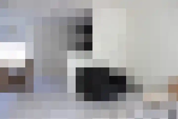 Rode Klaver 75 Sneek thumbnail 4