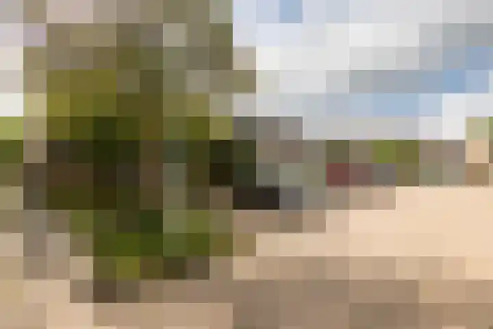 Rode Klaver 75 Sneek thumbnail 41